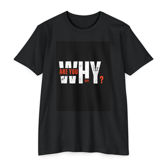 Why Are You Gay ? Tee - Unisex CVC Jersey T-shirt with 'Are You Why?' Design, Casual Wear, Gift for Him/Her, Motivational Shirt, Everyday Style