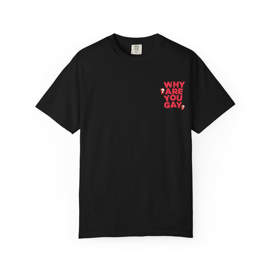 Unisex WHY ARE YOU GAY? T-Shirt, Bold Statement Tee, LGBTQ+ Pride Shirt, Fun Casual Wear, Unique Graphic Top